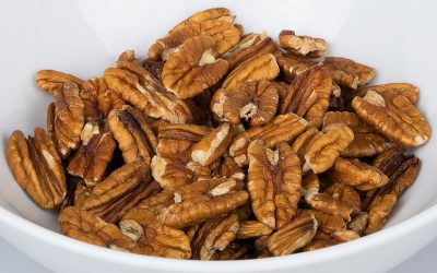 Pie Crust From Nuts!