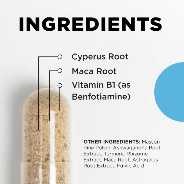 CellCore S-TRO - Image 3