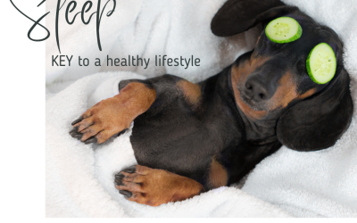 Sleep is KEY to a Healthy Lifestyle!