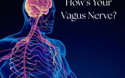 How is your Vagus Nerve?