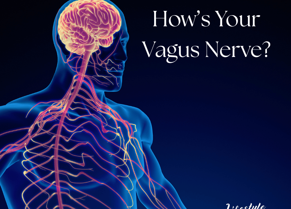 How is your Vagus Nerve?